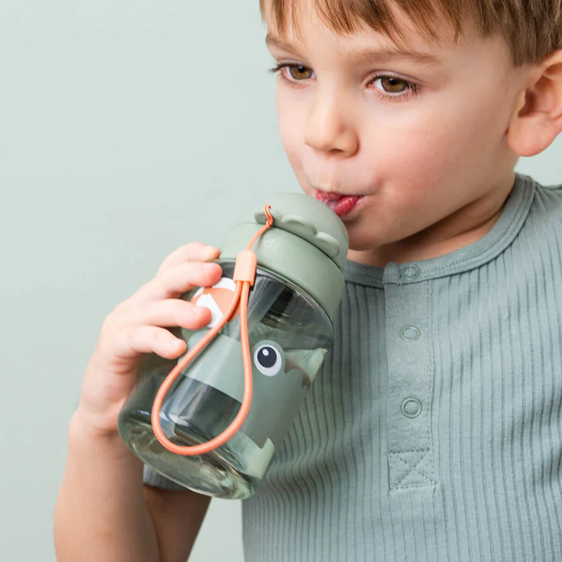 Drinkfles met rietje - Straw bottle - Playground - Croco/Green - 280 ml - Done by Deer