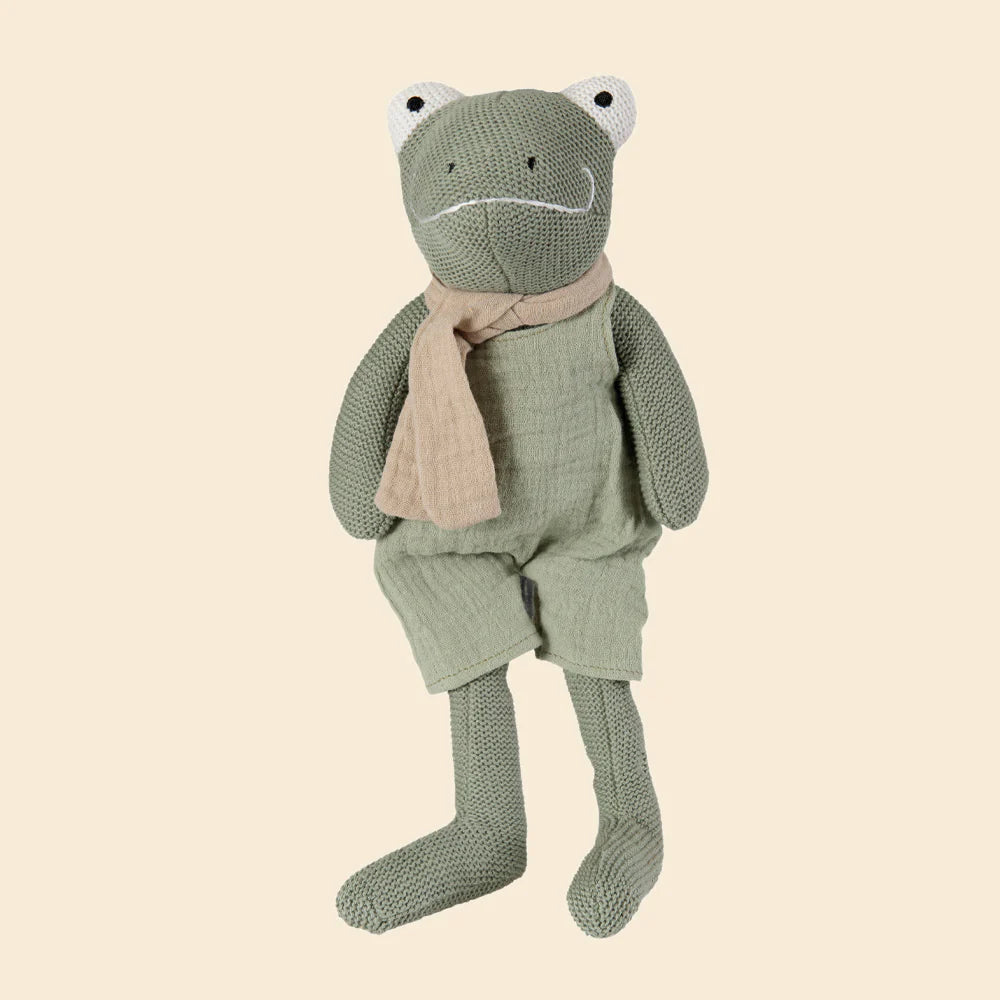 Jeremy de kikker - Katoenen knuffel met rammelaar - Egmont Toys