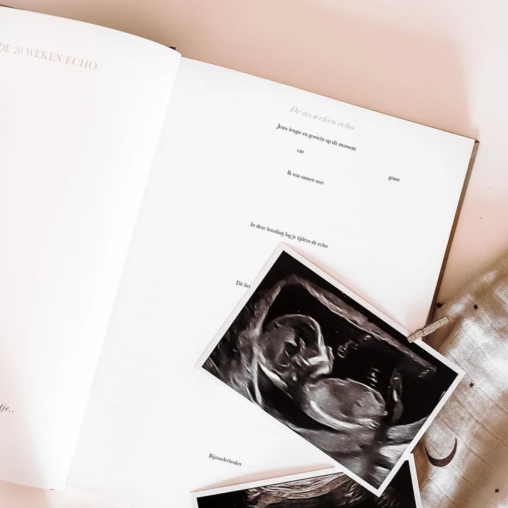Het begin van jouw leven – Alles-in-één zwangerschaps- en babyinvulboek van 0 tot 1 jaar – Birth Lines