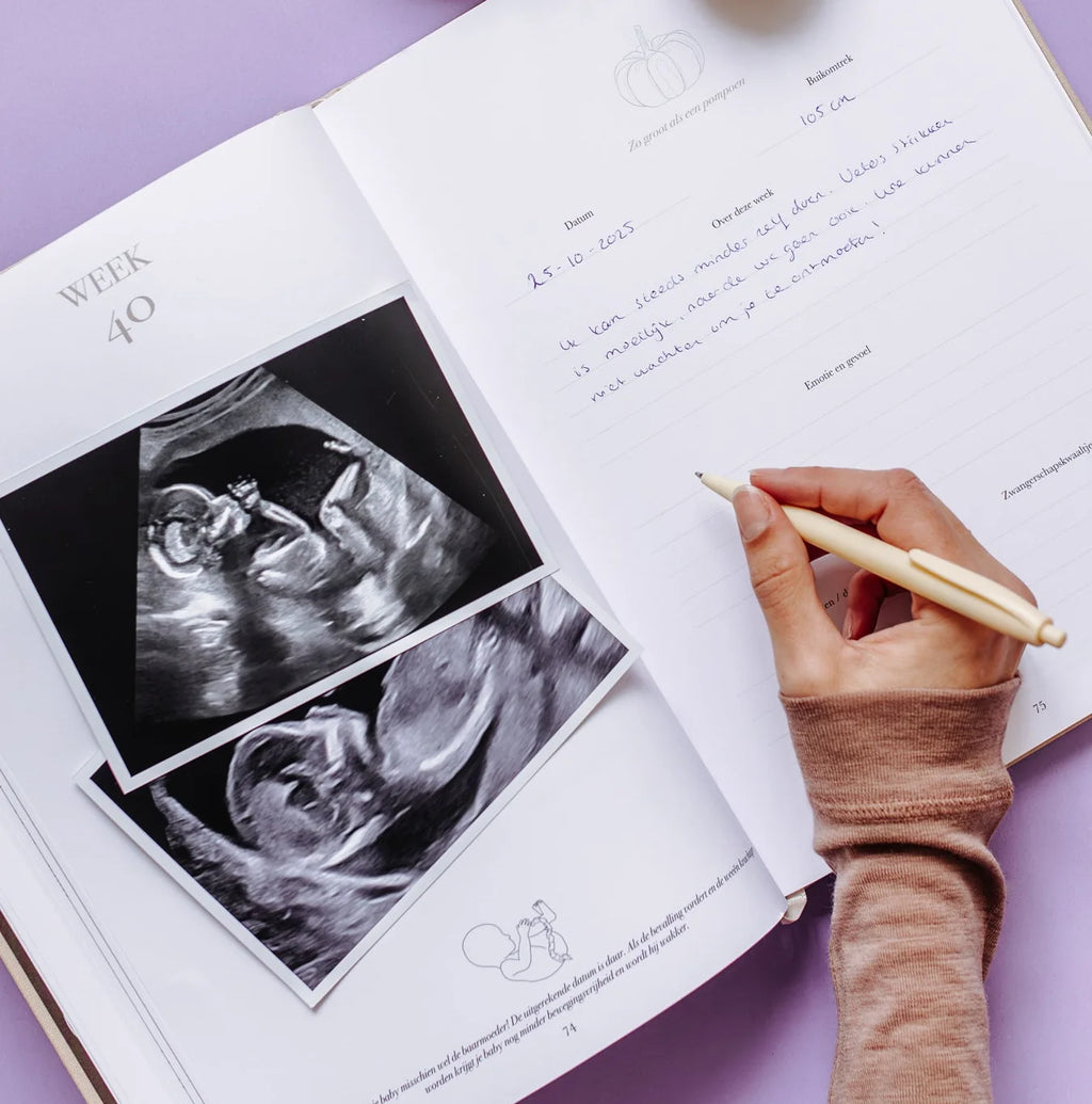 Het begin van jouw leven – Alles-in-één zwangerschaps- en babyinvulboek van 0 tot 1 jaar – Birth Lines