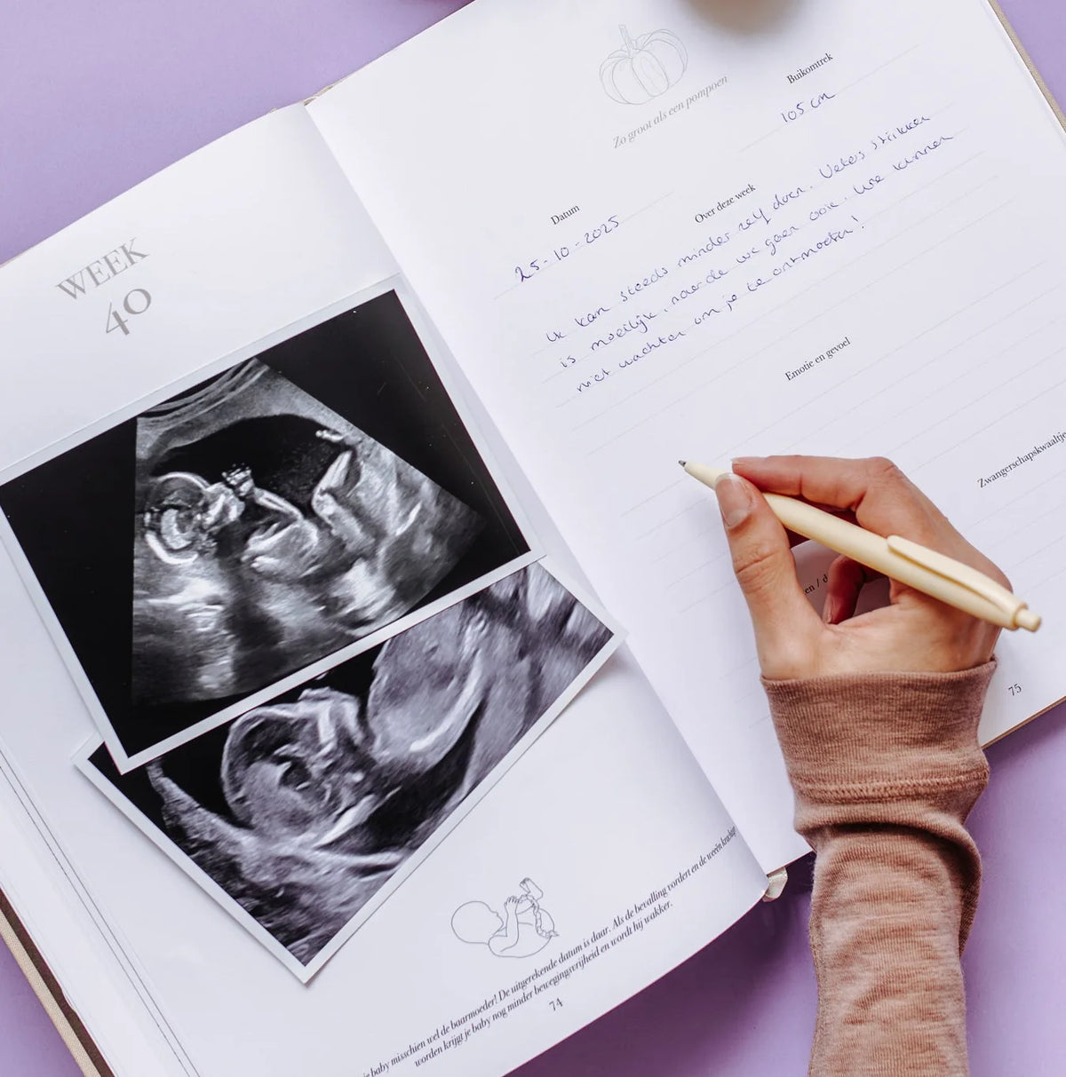Het begin van jouw leven – Alles-in-één zwangerschaps- en babyinvulboek van 0 tot 1 jaar – Birth Lines