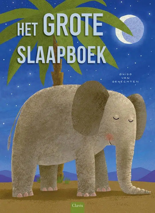 The Big Sleep Book - Picture book from 2 years