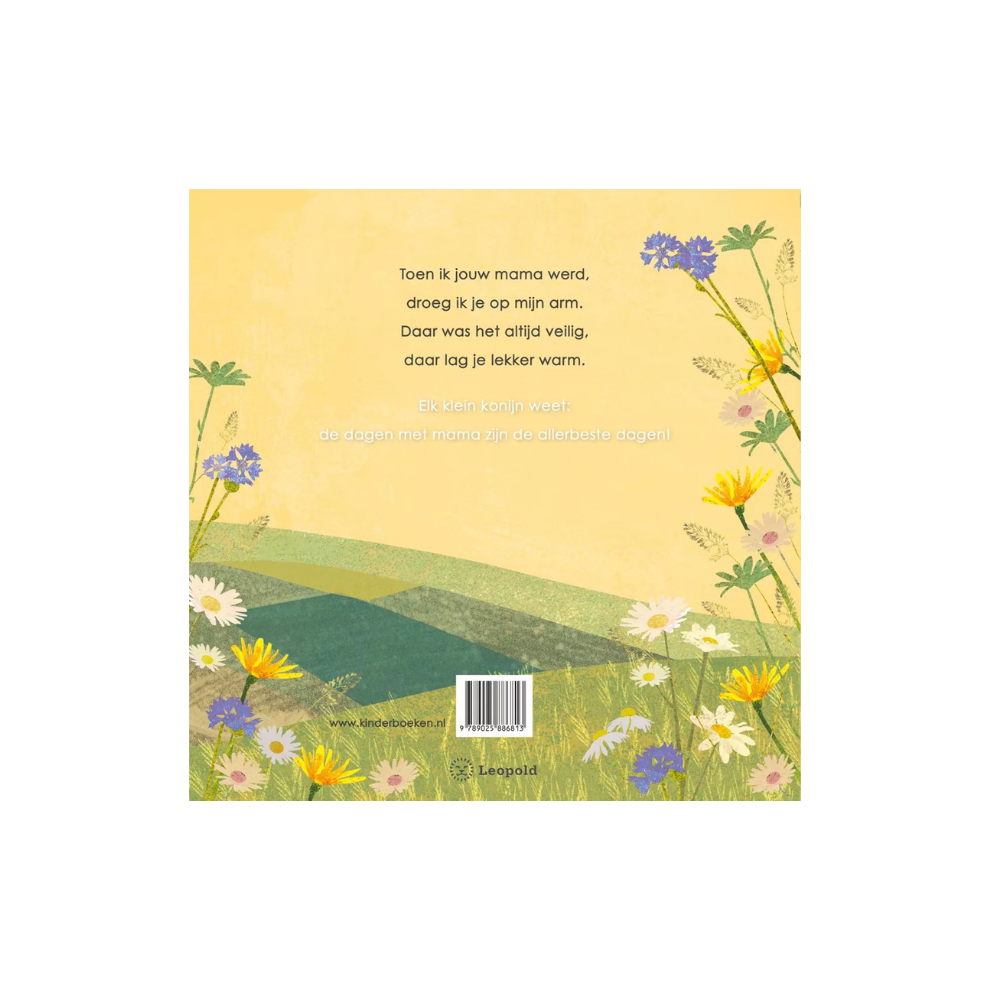 Picture book - When I became your mommy - 3+ years - Egmont Toys