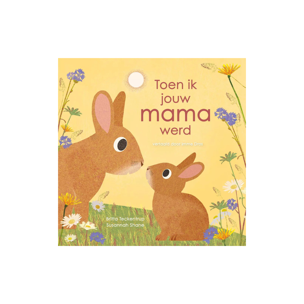 Picture book - When I became your mommy - 3+ years - Egmont Toys