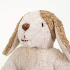 Floppy Cuddly Dog Small - GOTS organic cotton & sheep wool - White & Beige - Senger Naturwelt