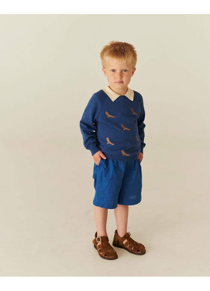Thin sweater Eagles - Organic cotton - Cobalt blue - Copenhagen Colors